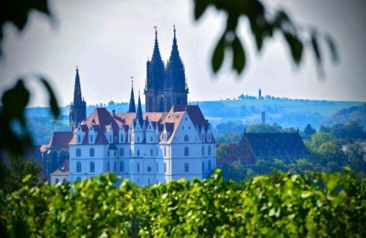 Ferienhaus Dr. Mueller ไมเซน ภายนอก รูปภาพ